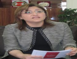 Bakan Şahin Doğu turunda